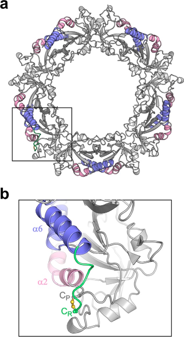 Figure 9.