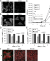 FIG 6