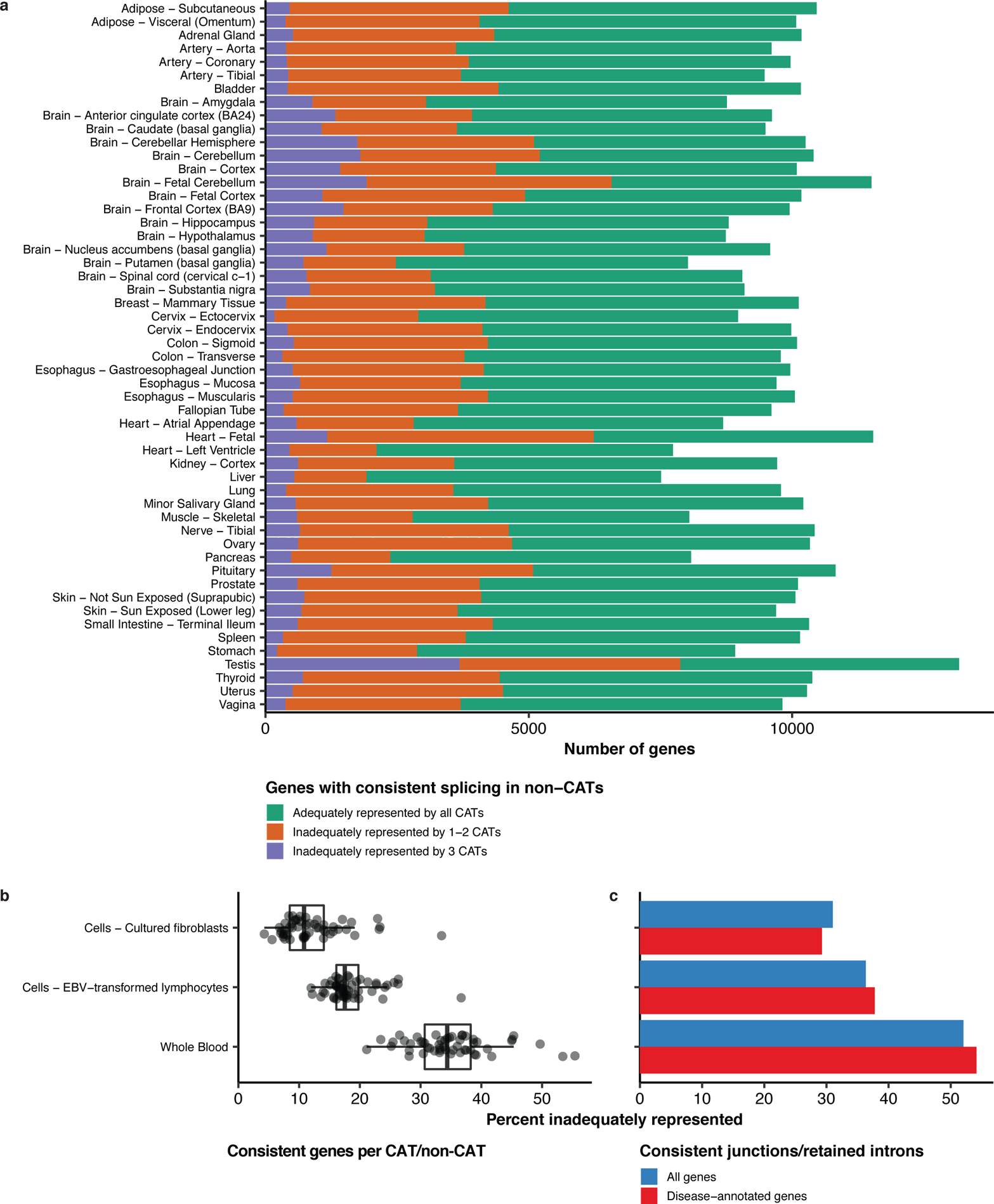 Figure 2: