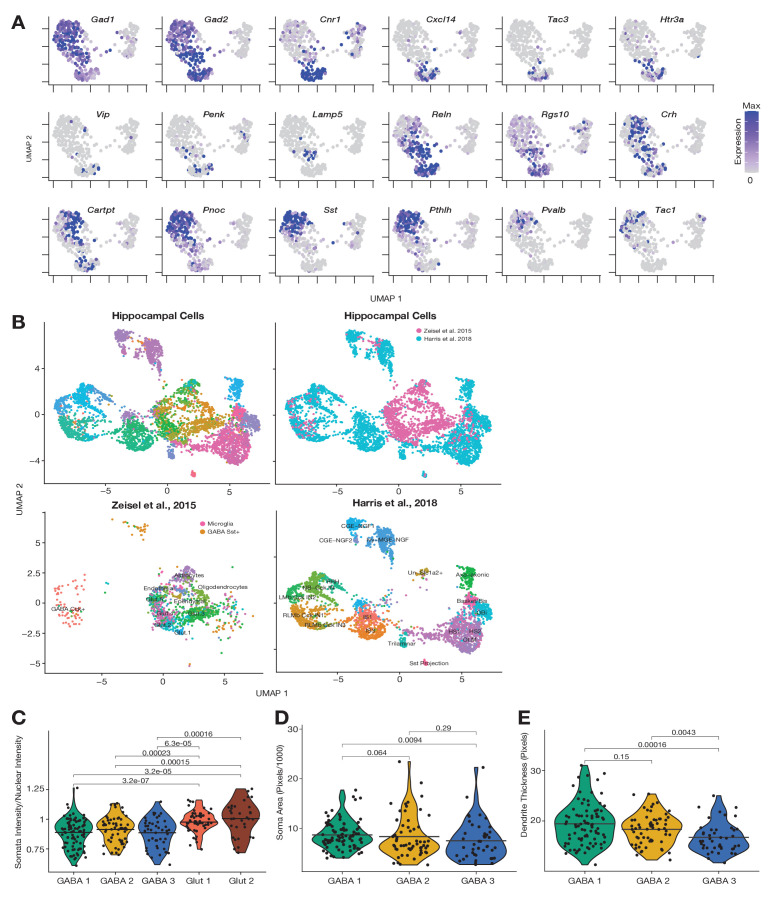 Figure 1—figure supplement 3.