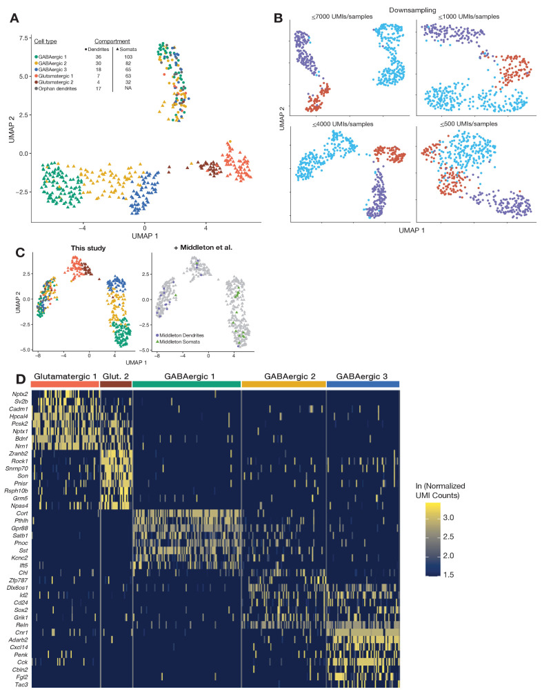 Figure 1—figure supplement 2.