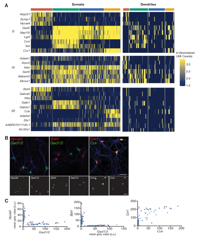 Figure 3—figure supplement 1.