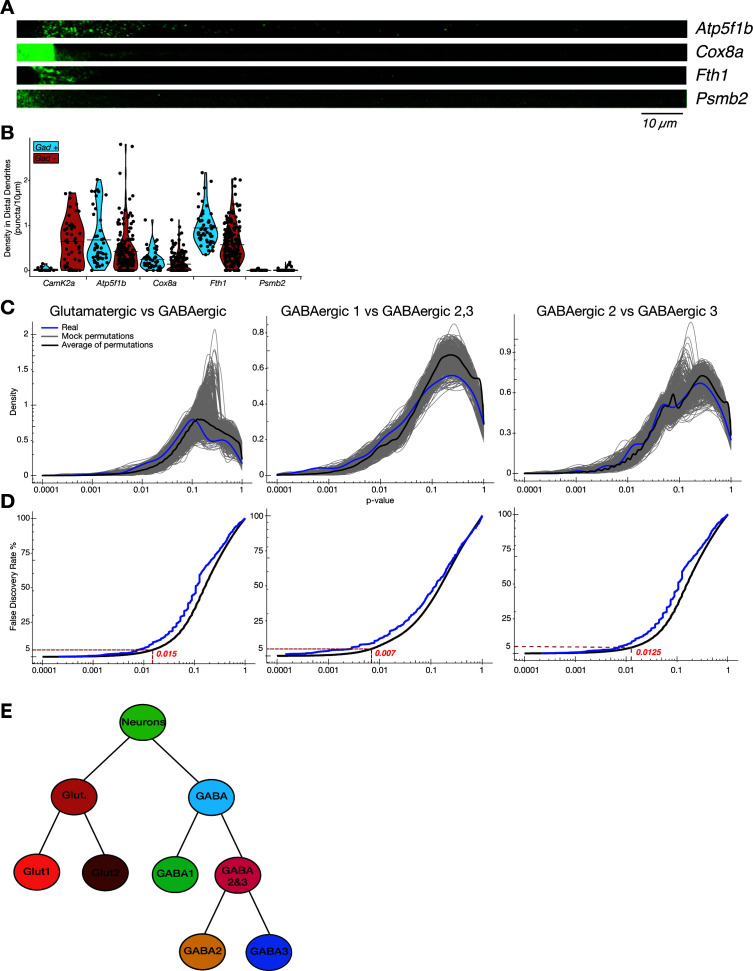 Figure 2—figure supplement 1.