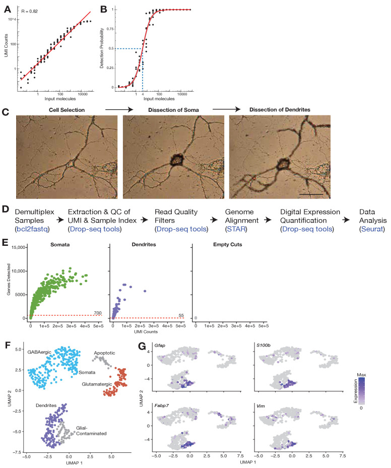 Figure 1—figure supplement 1.