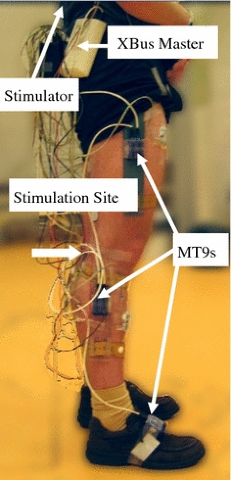 Fig. 3