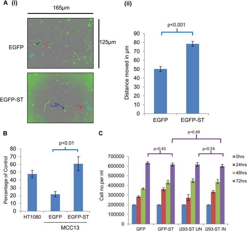 FIG 3