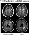 FIG. 9.