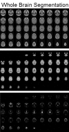 FIG. 7.