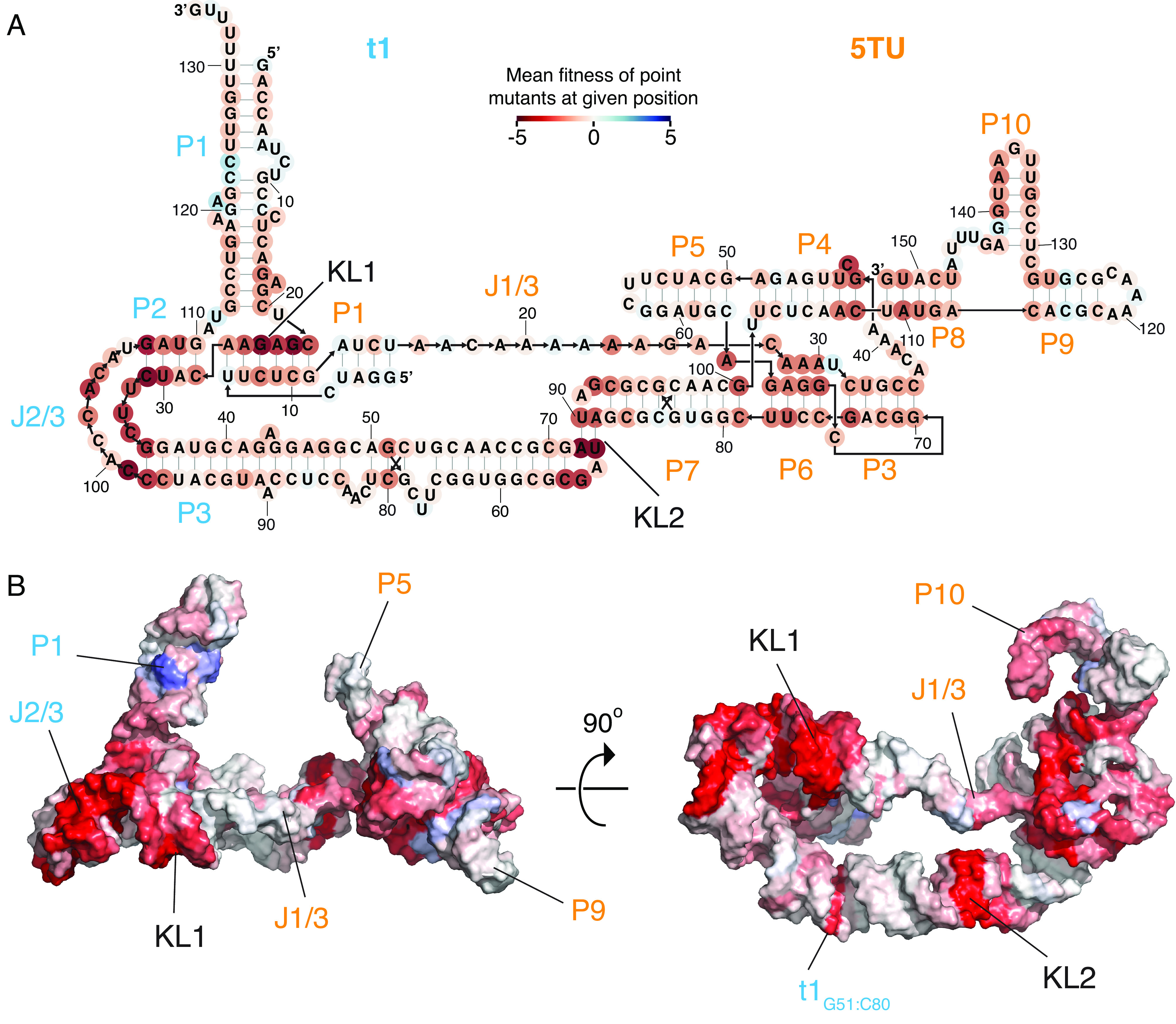 Fig. 2.