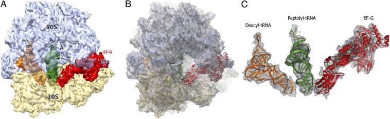 Fig. 1.