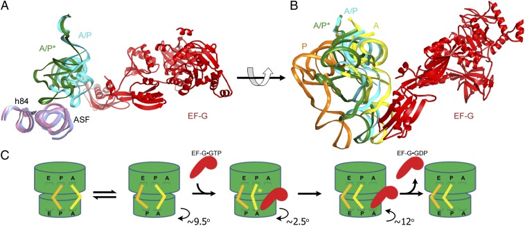 Fig. 4.