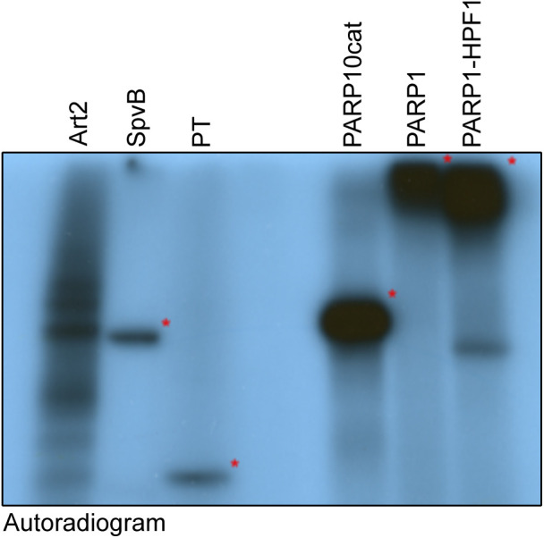 Figure S1.