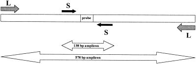 FIG. 1.