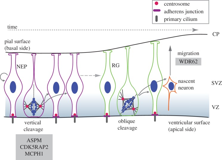 Figure 3.