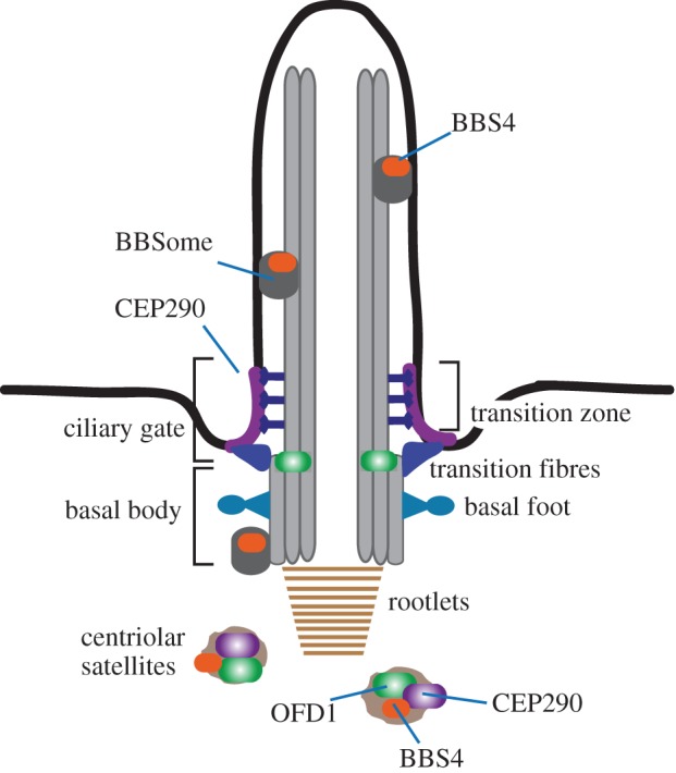 Figure 2.