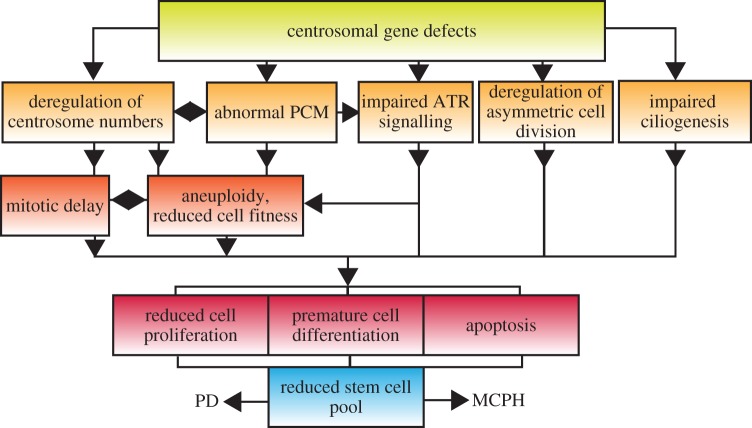 Figure 4.