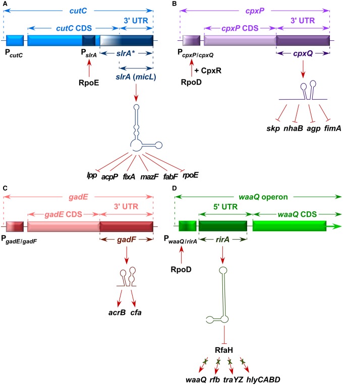 Figure 1.