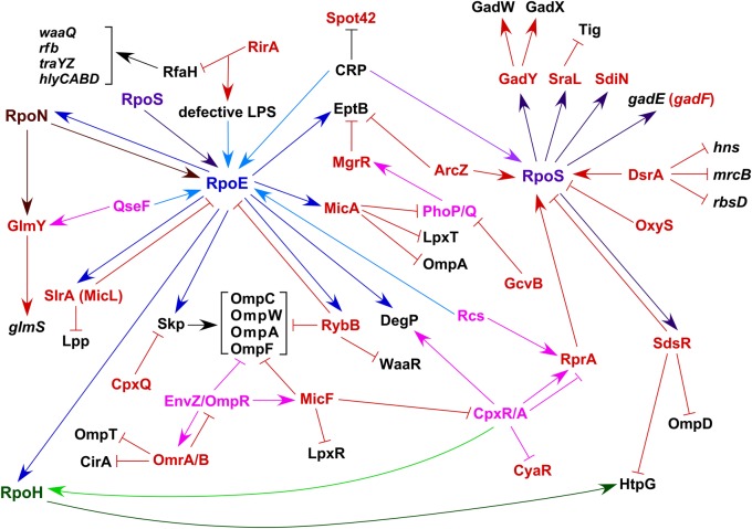 Figure 2.