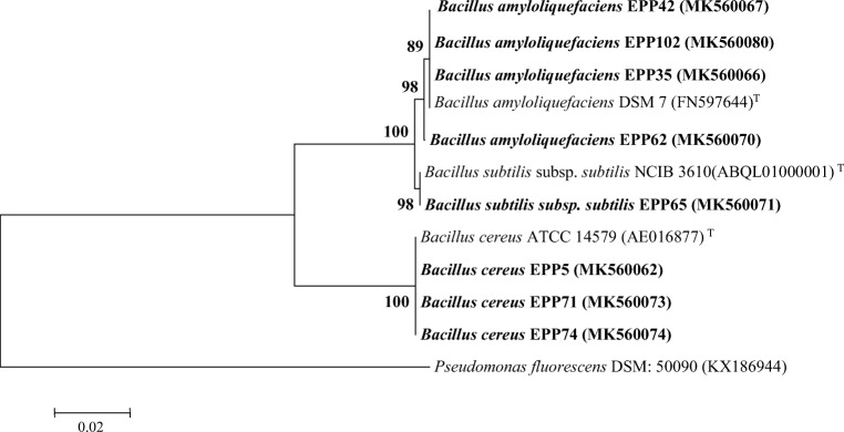 Fig 2