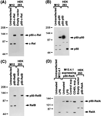 FIG. 6