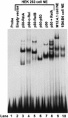 FIG. 5
