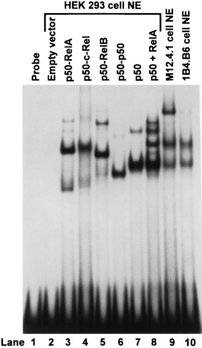 FIG. 5