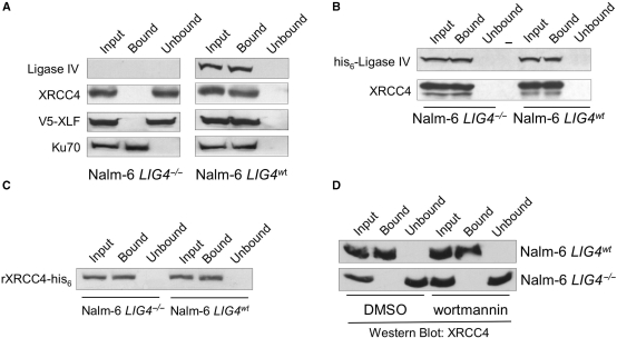 Figure 4.