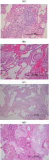 Fig. (1)