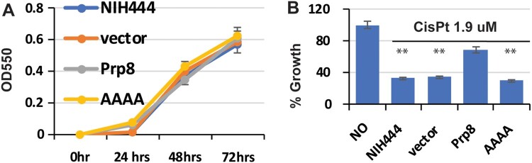 Figure 6.