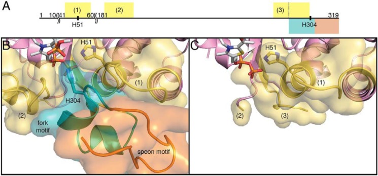 Figure 7.