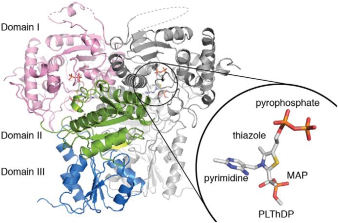 Figure 2.