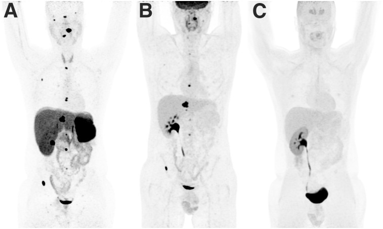 FIGURE 1.