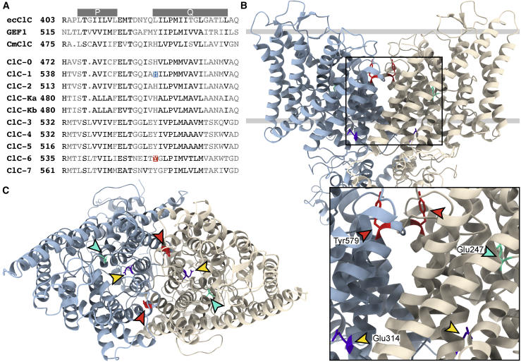 Figure 2