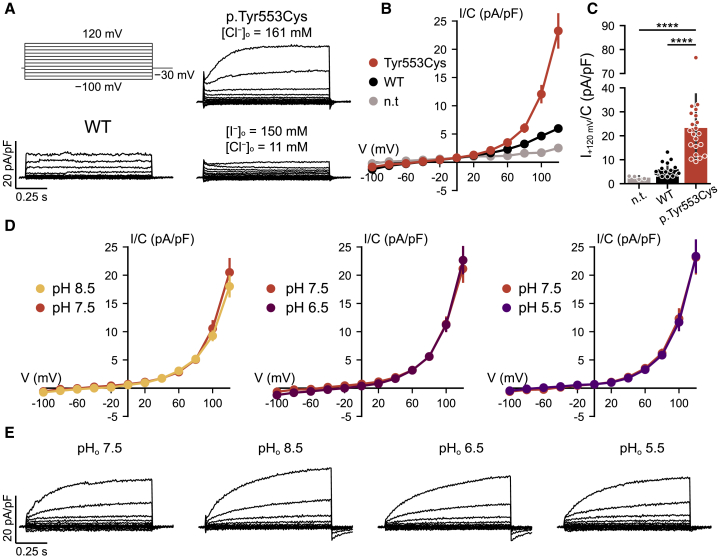 Figure 3