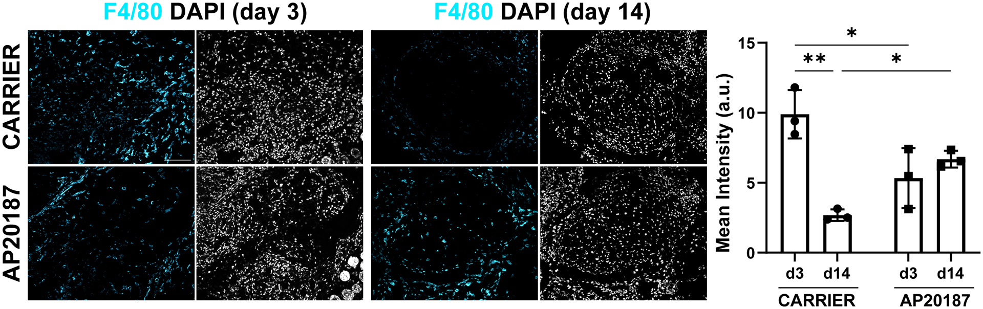 Figure 4: