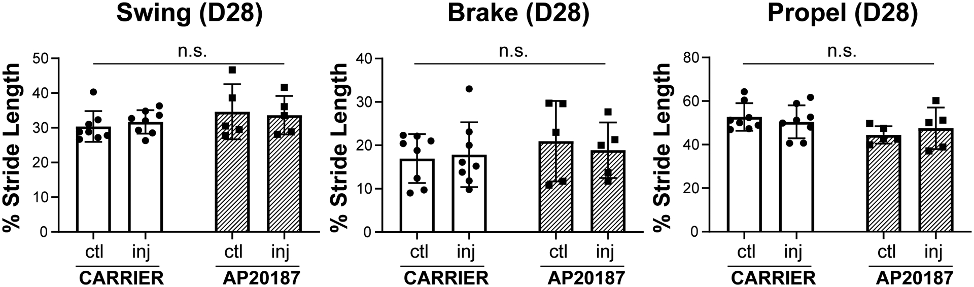 Figure 5: