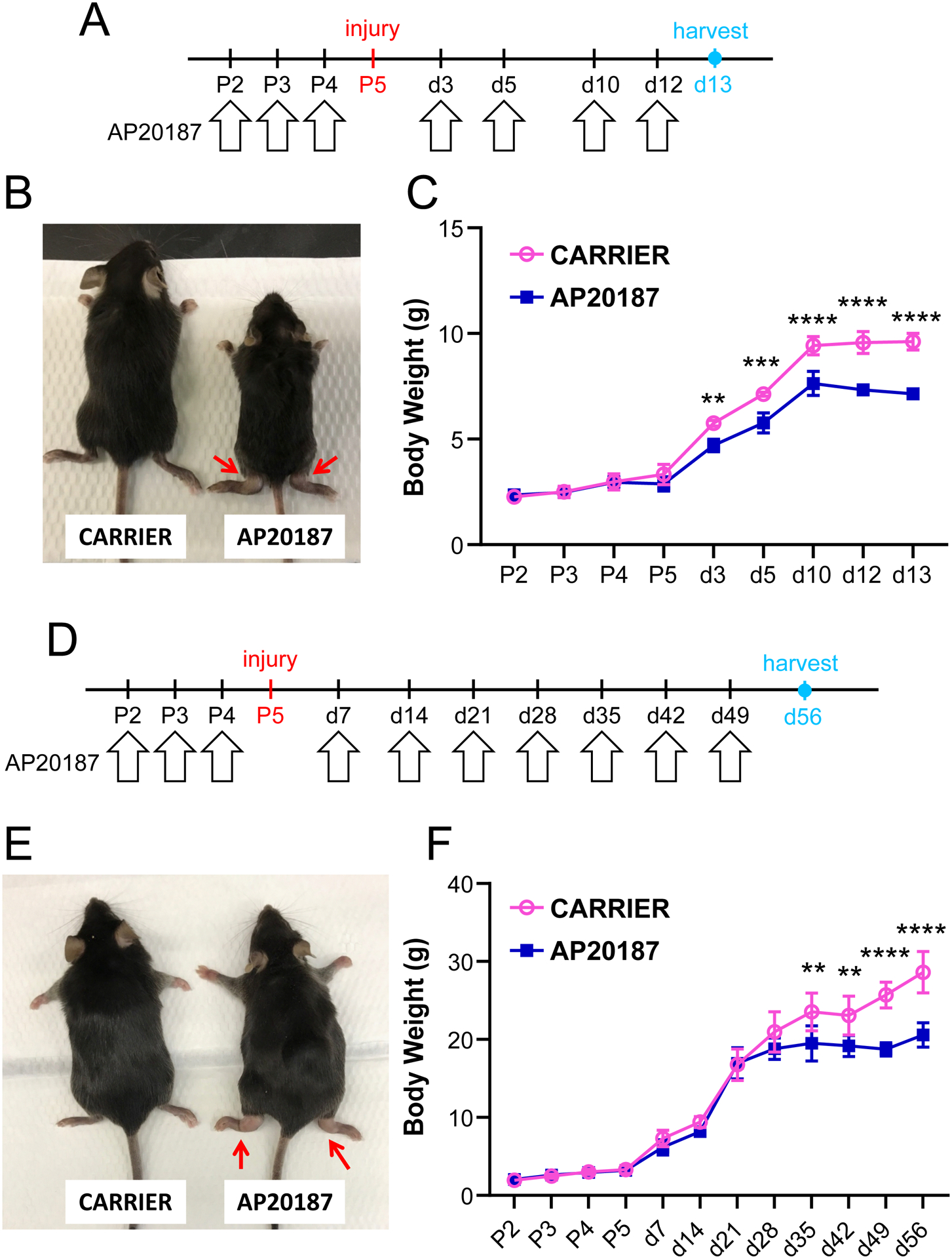 Figure 2: