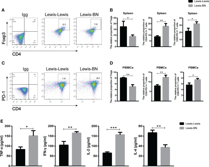 Figure 6