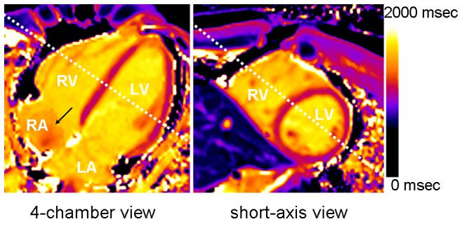 Figure 9