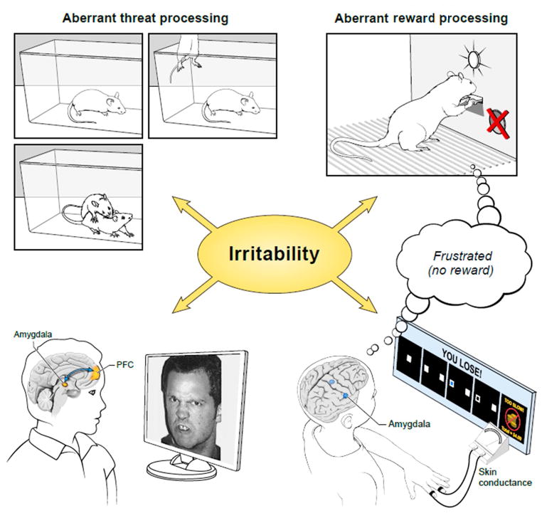 Figure 1 (Key Figure)