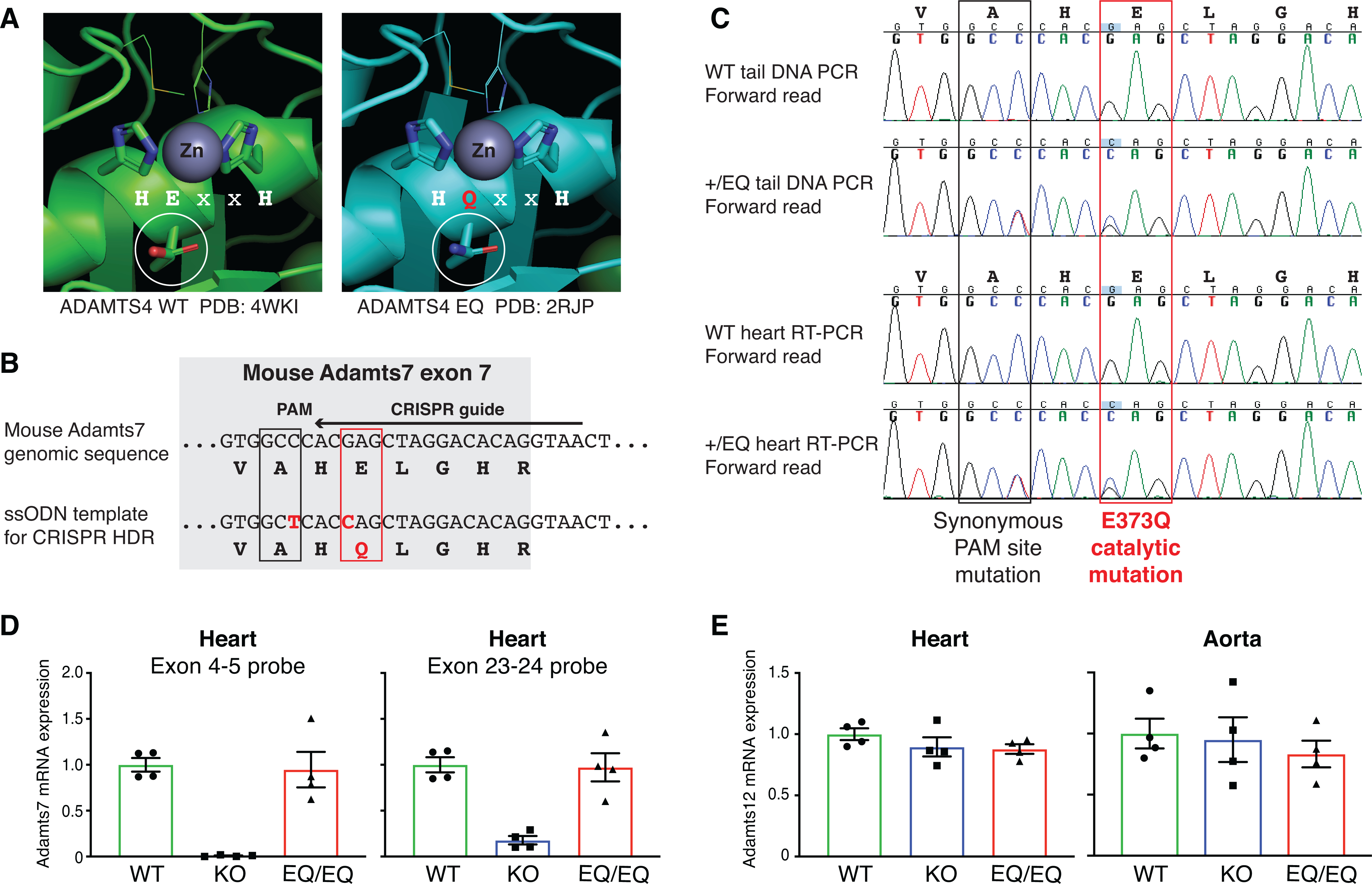 Figure 2: