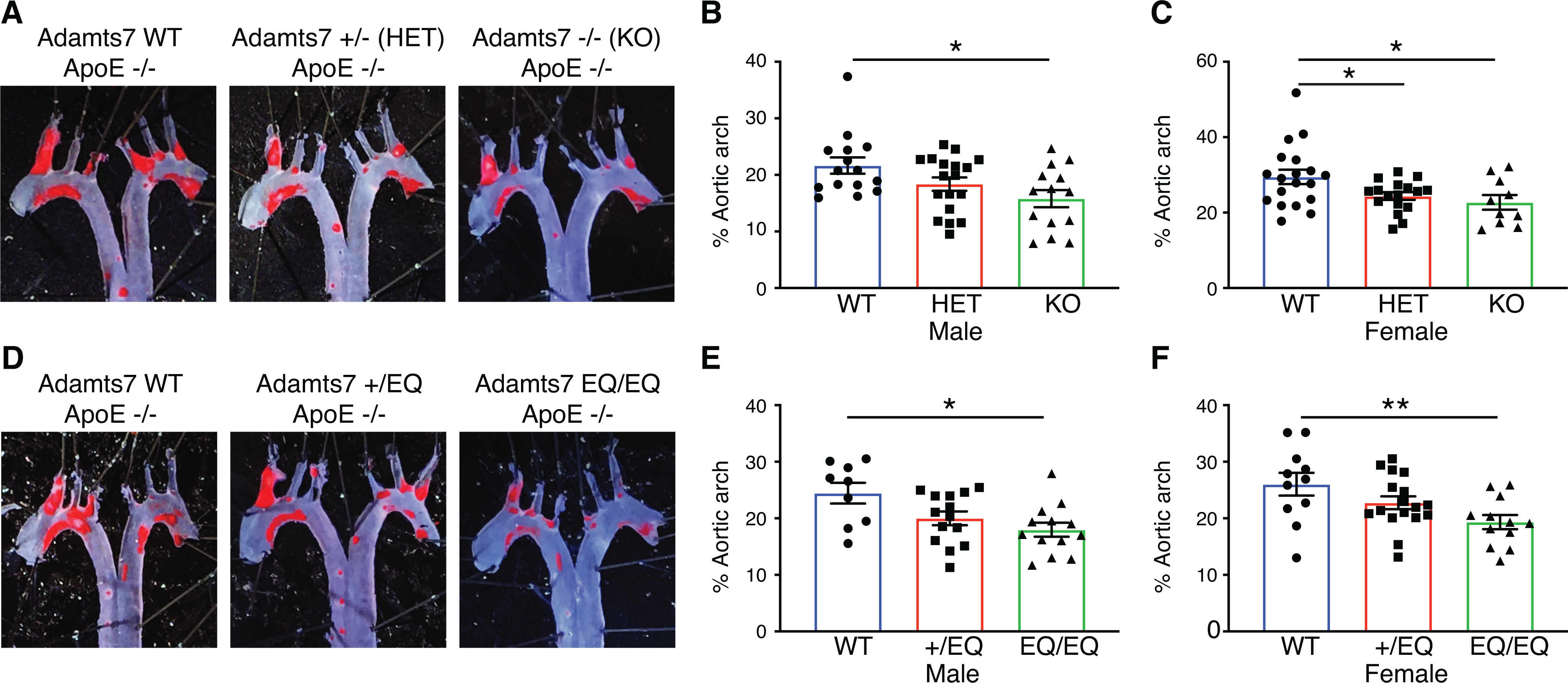 Figure 5: