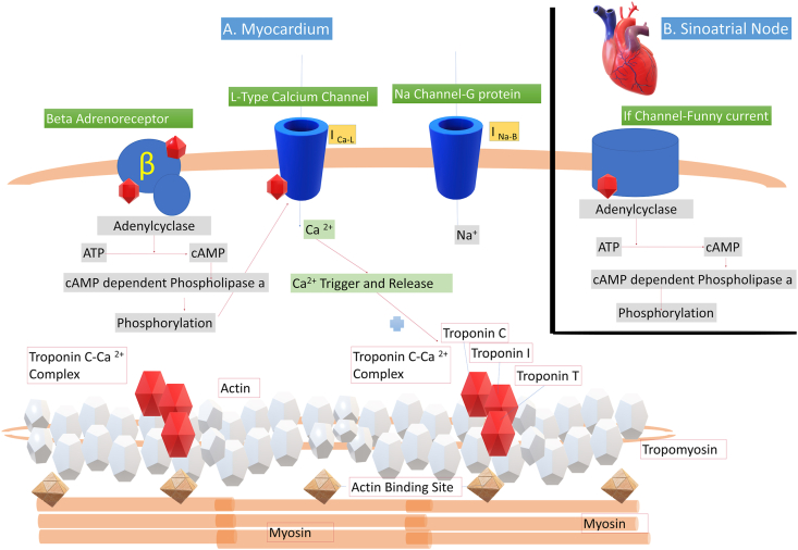 Figure 3