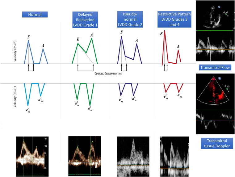 Figure 2