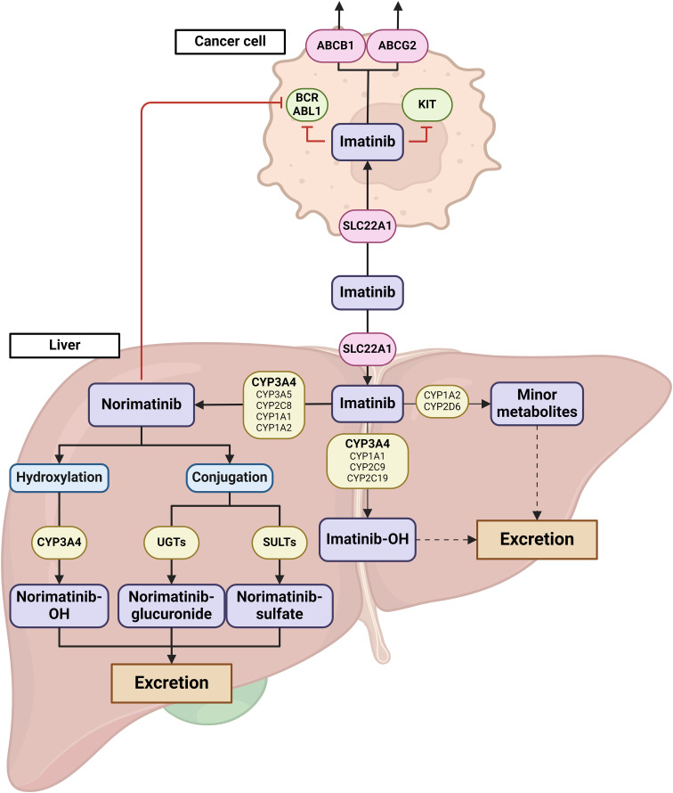 Figure 1