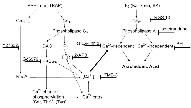 Fig 7