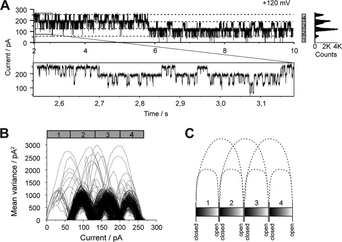 FIGURE 9.