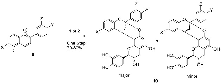 Scheme 1