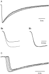 Fig. 8.