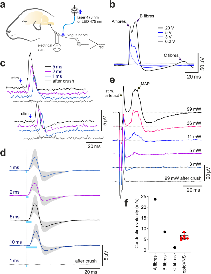 Fig. 4